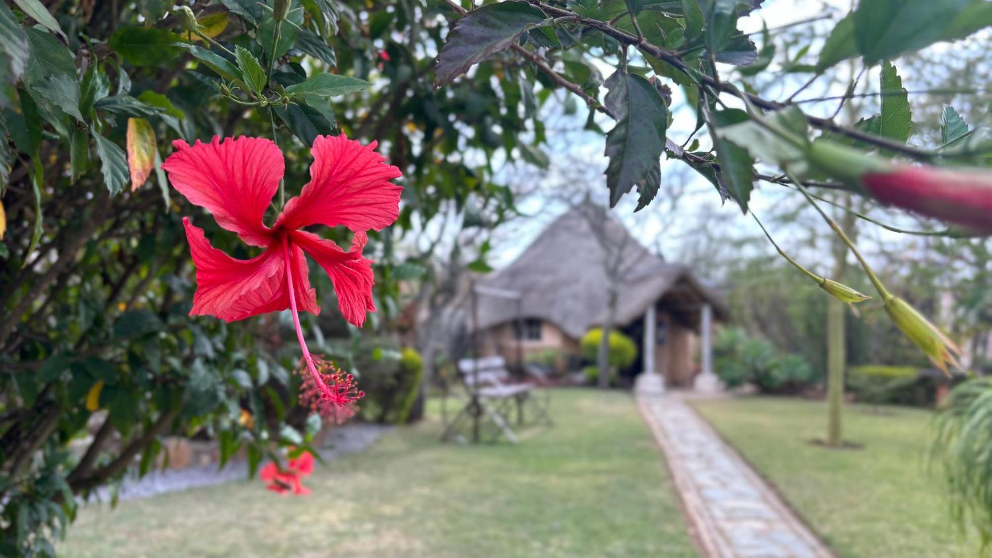 Lynns Guest House Bulawayo Kültér fotó