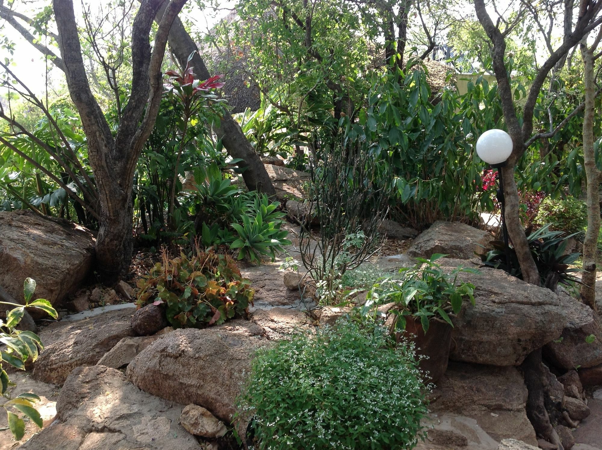 Lynns Guest House Bulawayo Kültér fotó